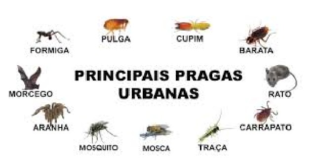 Foto 1 - dedetização Vila Progresso 011 2254-9578 #dengue