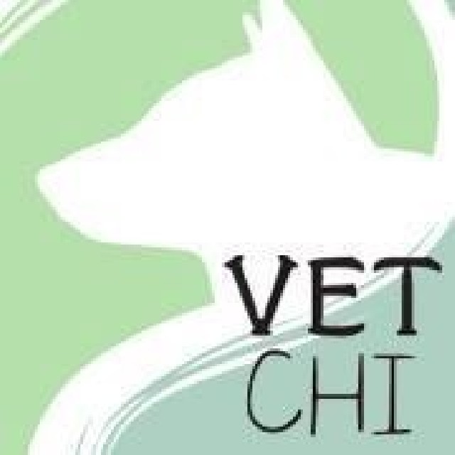 Foto 1 - Vetchi - acupuntura e homeopatia para ces e gatos